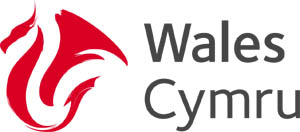 Wales launch new logo